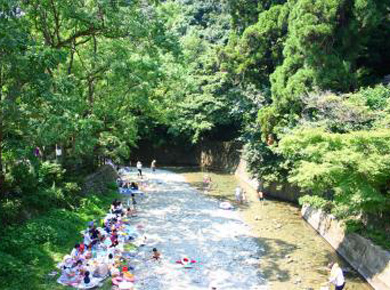 ▲猪野川(画像提供：久山町)