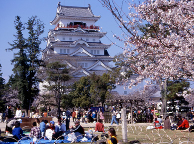 ▲花見を楽しむ人で賑わう福山城